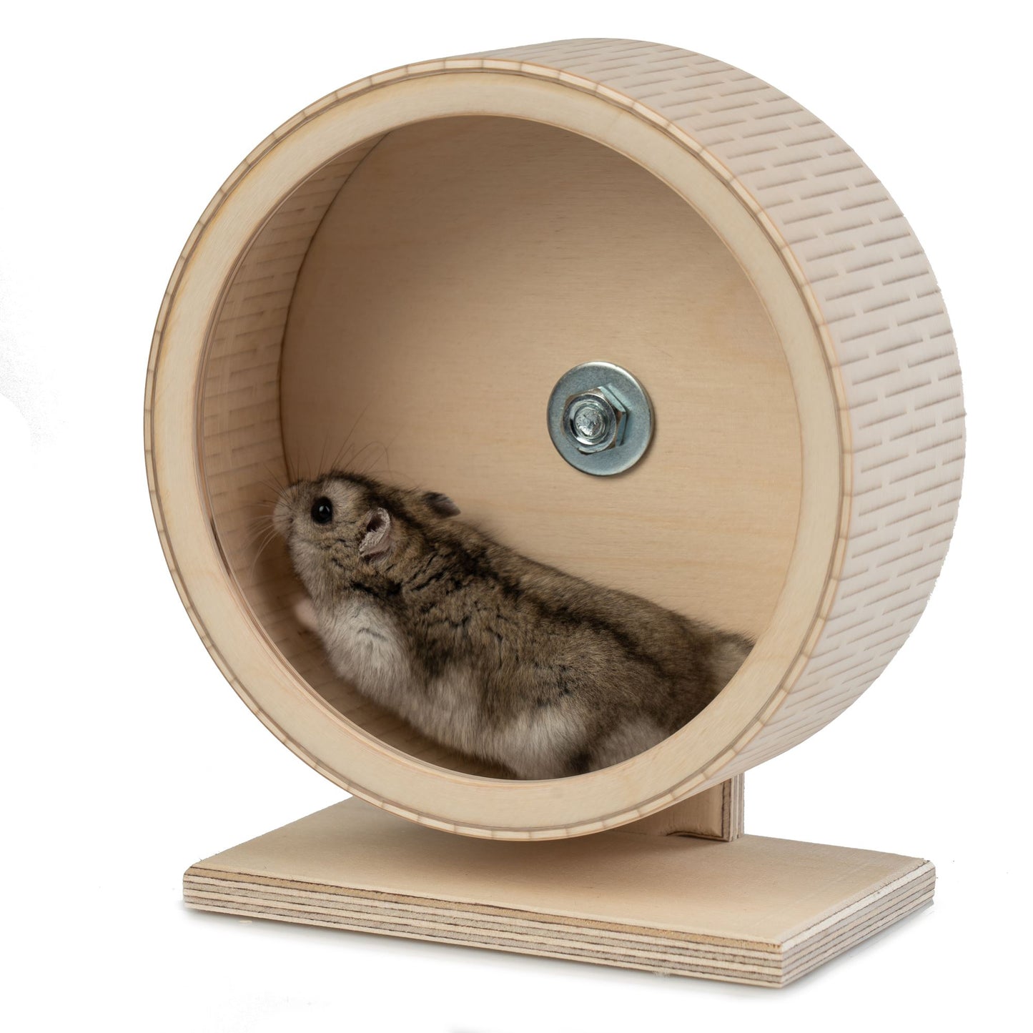 Roue de course pour hamsters sur support autoportant avec jante de protection en aluminium