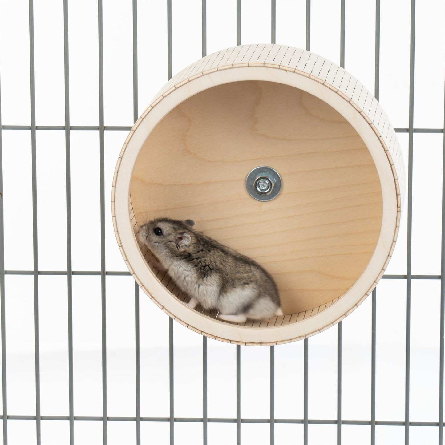 Roue de course pour hamsters