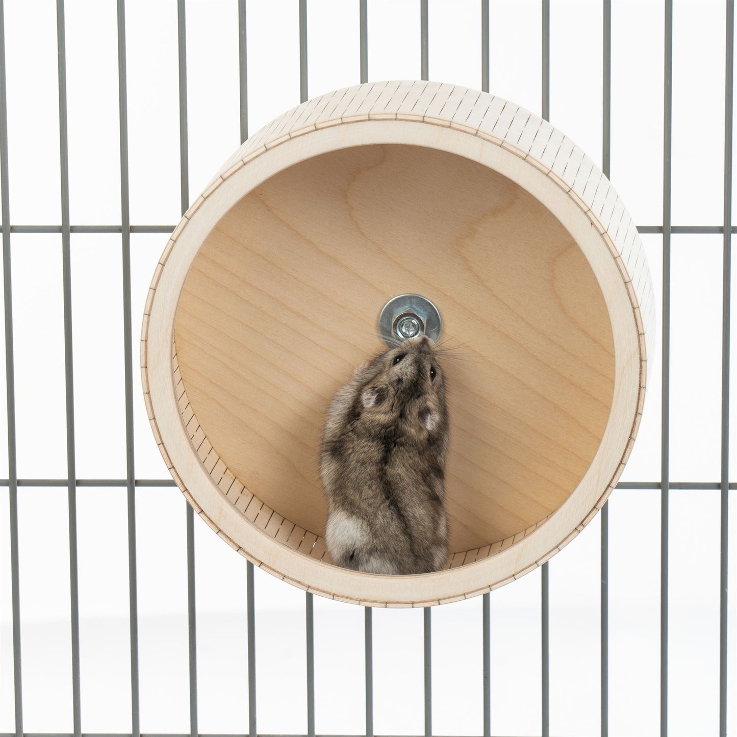 Roue de course pour hamsters