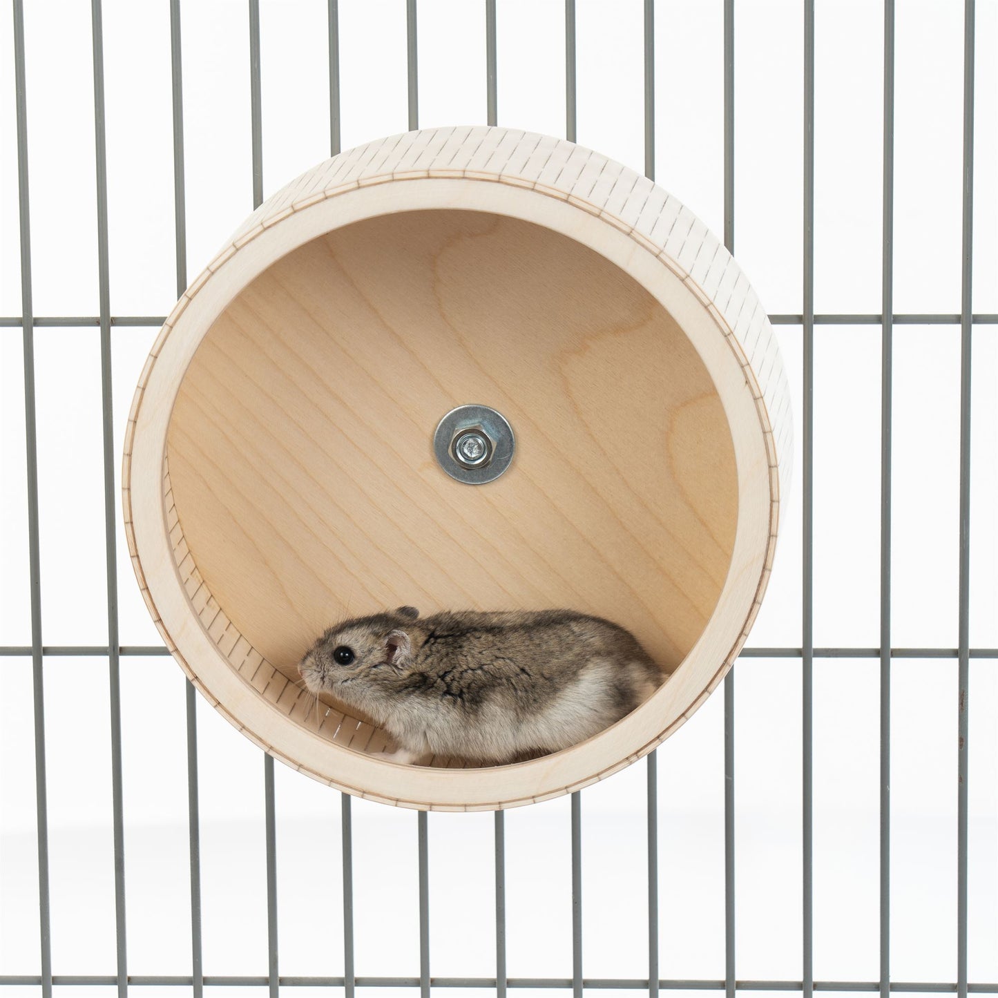 Roue de course pour hamsters
