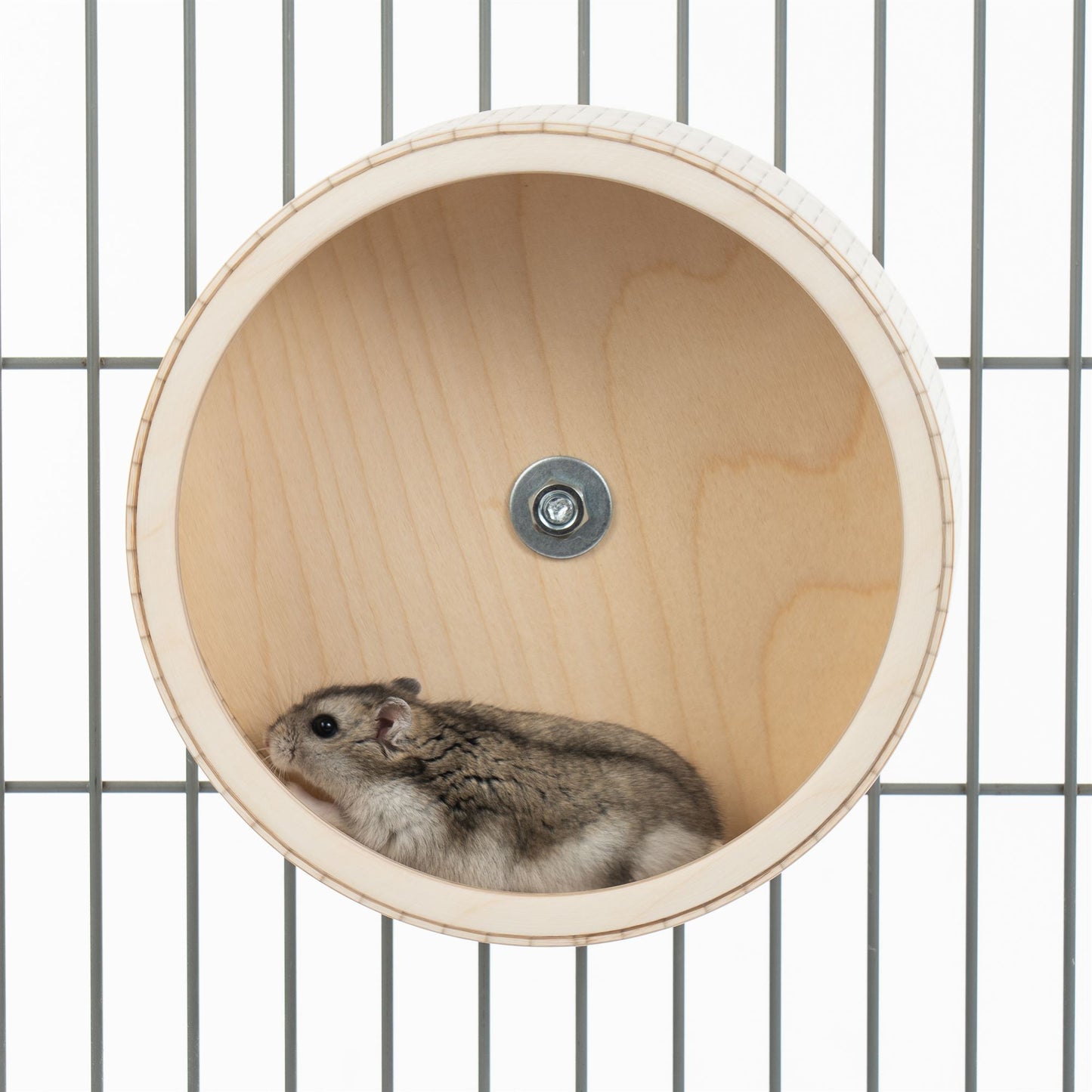 Roue de course pour hamsters