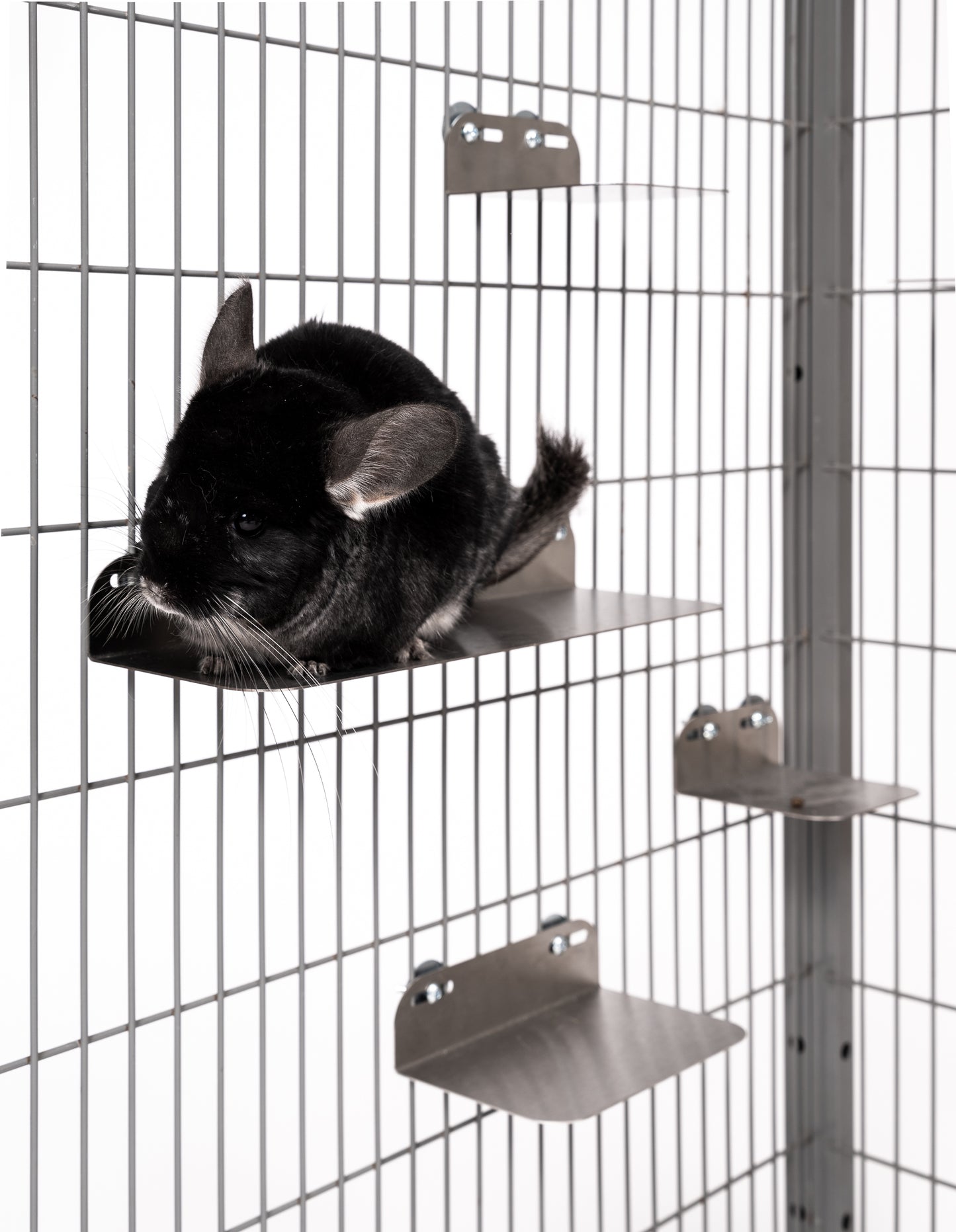 Durable Stainless Steel Shelves for Small Pets Set 6pcs