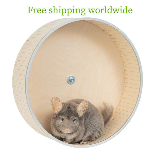 Silent exercise wheel for chinchillas, hedgehogs, rats, squirrels, and degus, available in five sizes