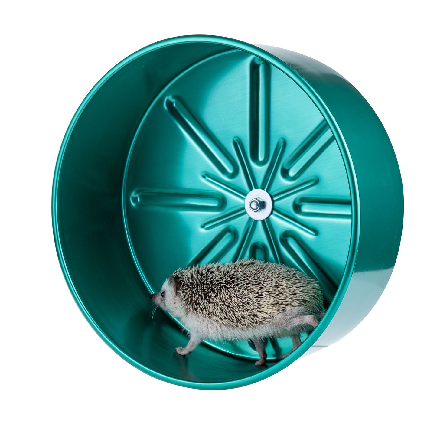 Aluminum Running Wheel for Hedgehogs – Silent, Durable, and Safe Exercise Solution