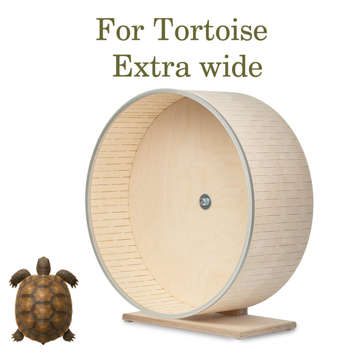 Extra-Wide Running Wheel for Tortoises and Small Pets 35 cm Diameter ...